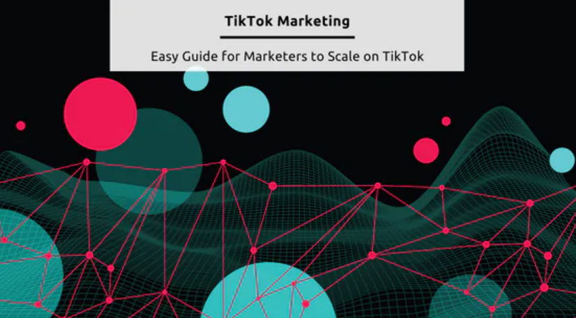 TikTok Campaign Results